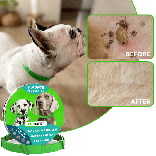 FurLife™ 8 mois sans puces ni tiques